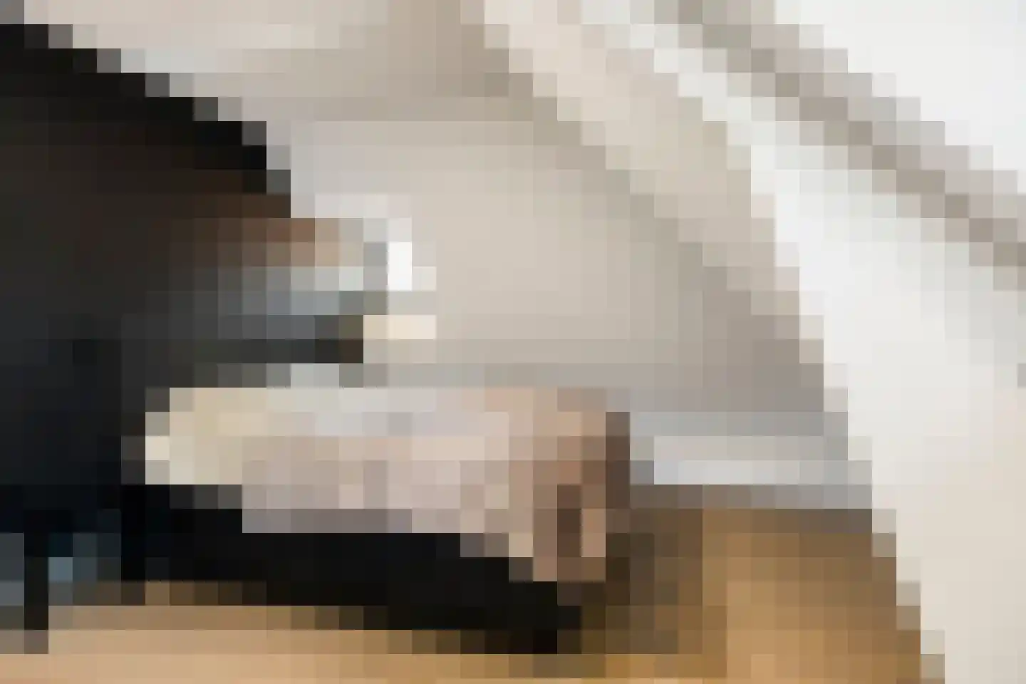 1e Hogeweg 35 Zeist thumbnail 32