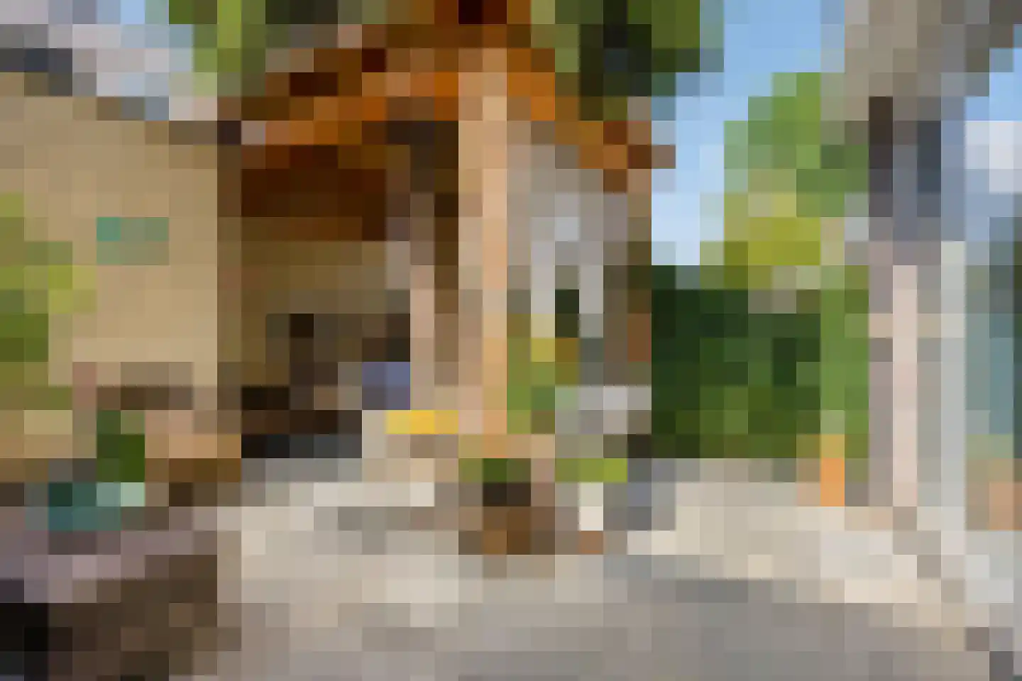 1e Hogeweg 35 Zeist thumbnail 38