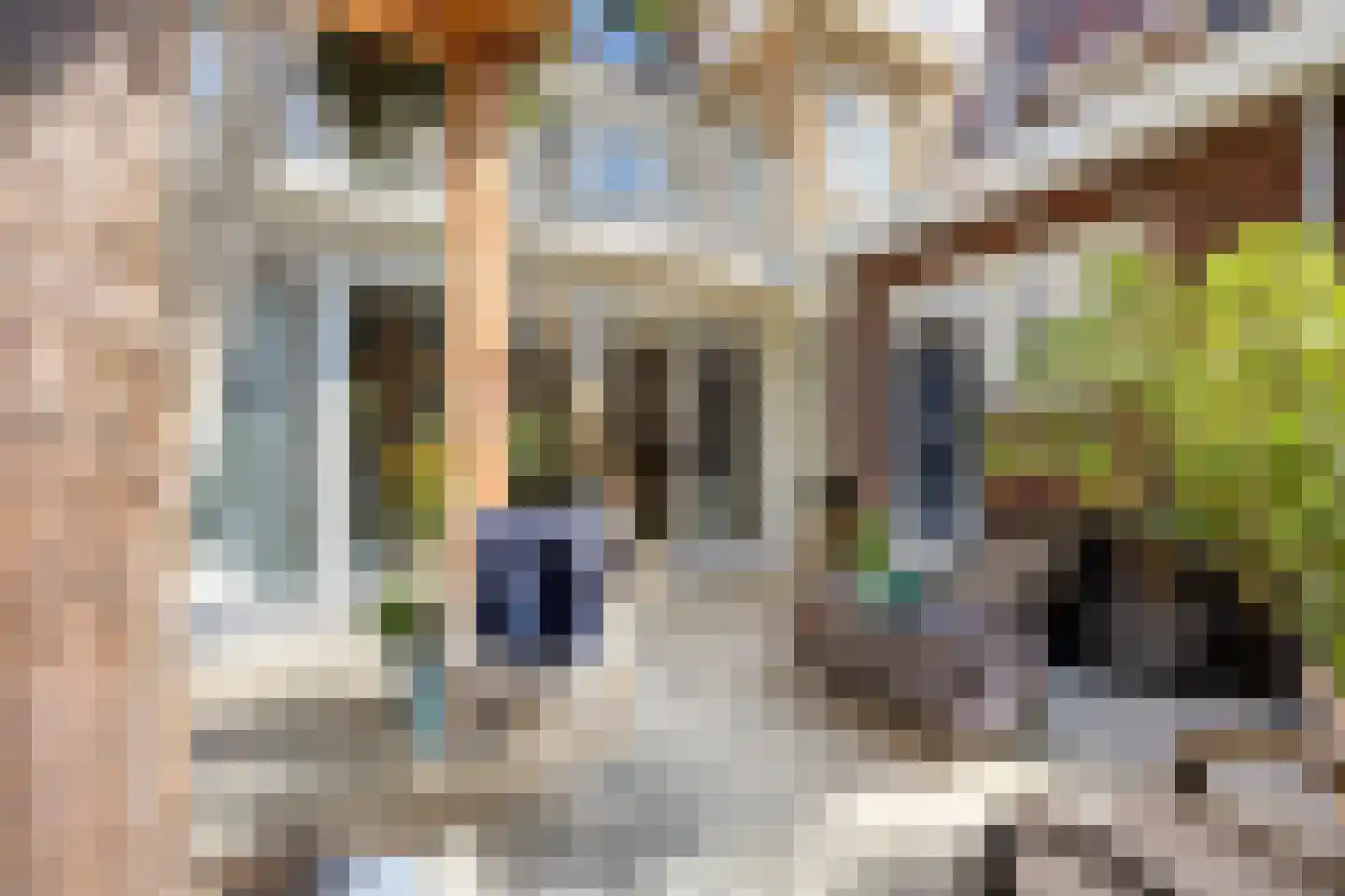 1e Hogeweg 35 Zeist thumbnail 39