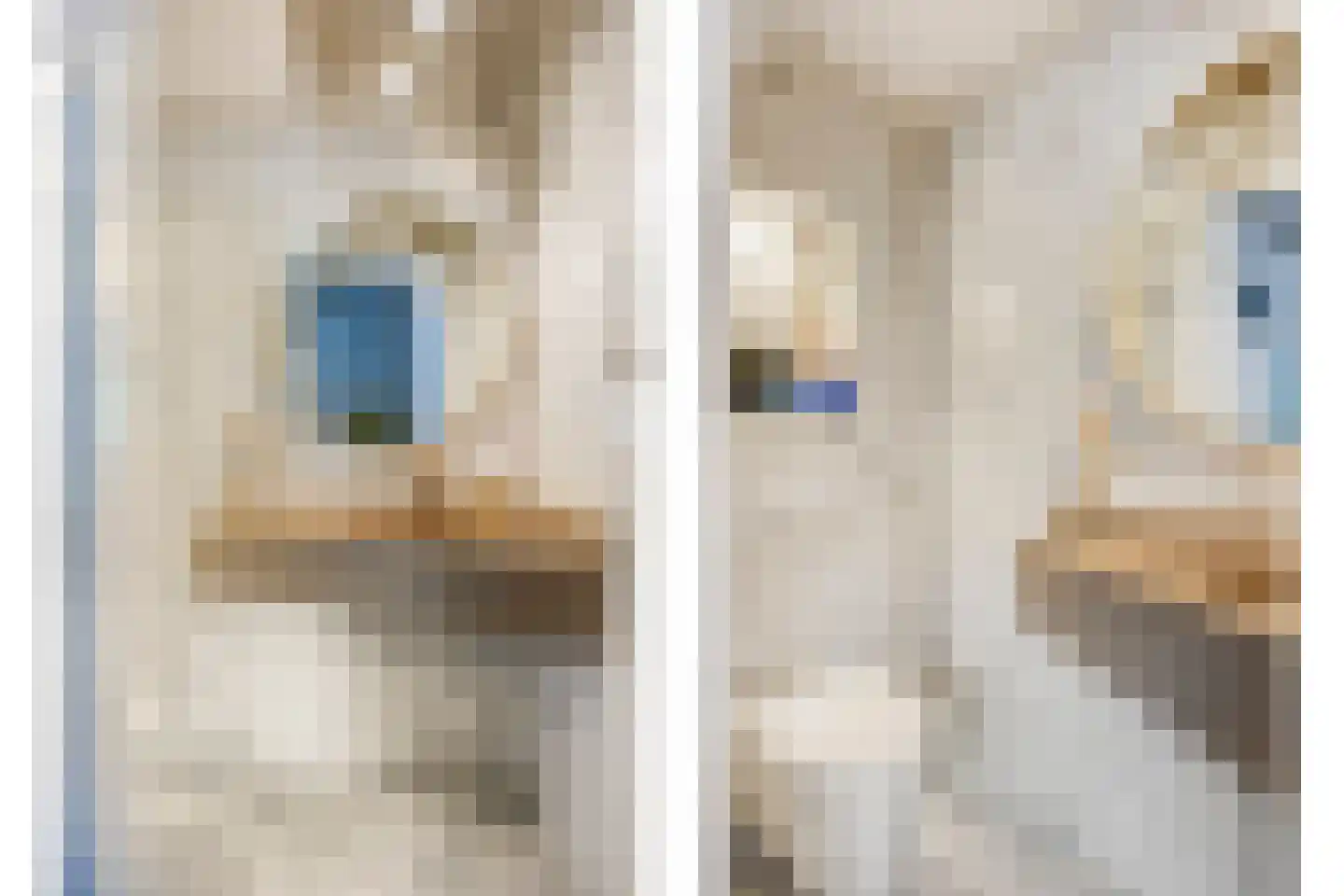 1e Hogeweg 35 Zeist thumbnail 6