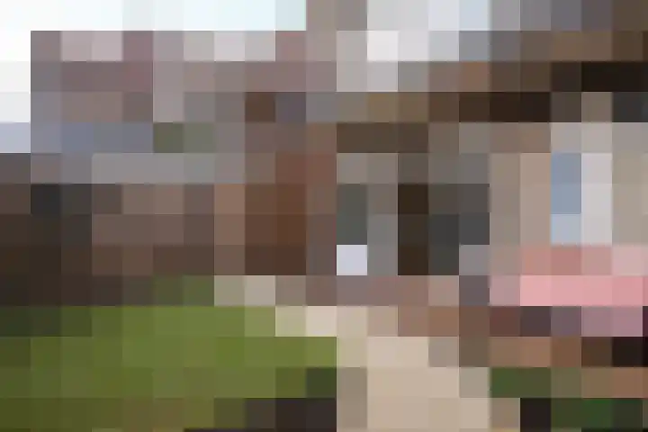 1e Hogeweg 67 Zeist thumbnail 11