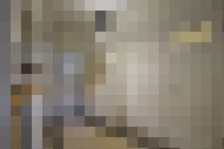 1e Hogeweg 67 Zeist thumbnail 12