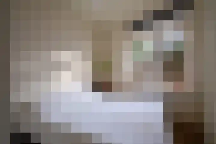1e Hogeweg 67 Zeist thumbnail 13