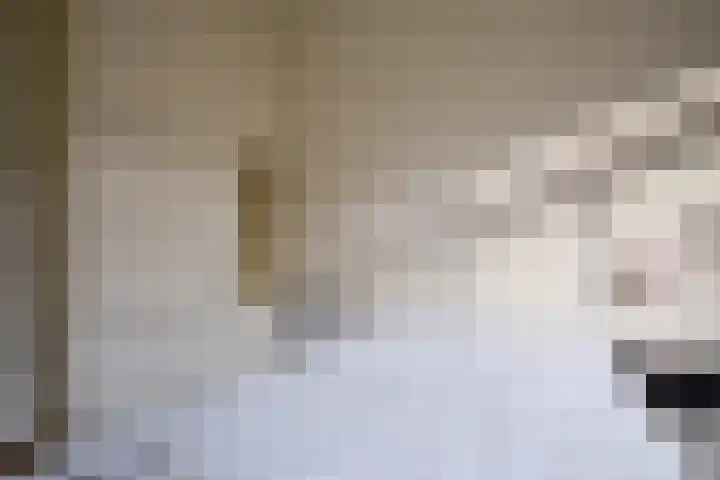 1e Hogeweg 67 Zeist thumbnail 14