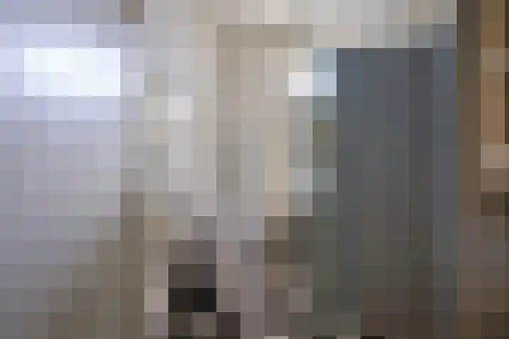 1e Hogeweg 67 Zeist thumbnail 15
