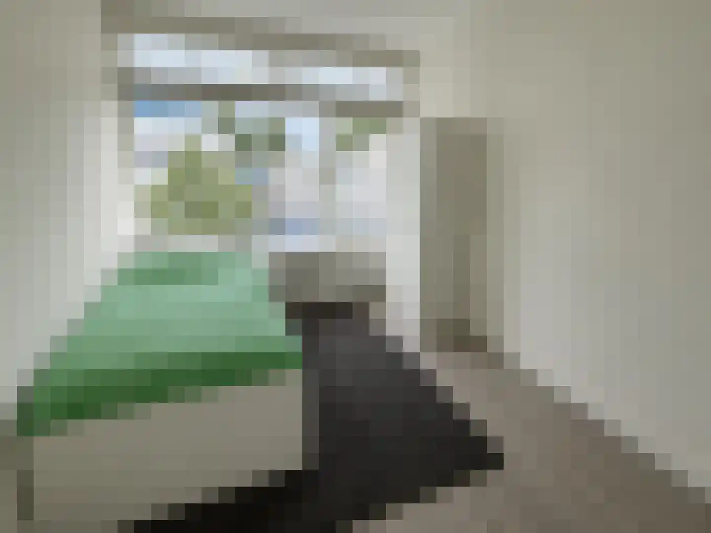 1e Hogeweg 77 3 Zeist thumbnail 12