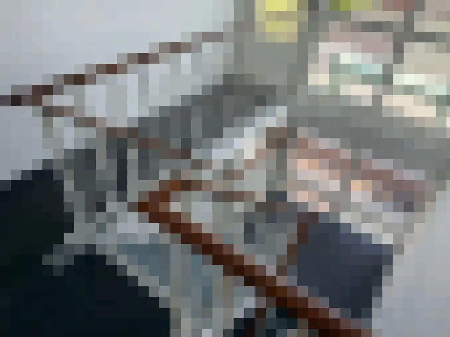1e Hogeweg 77 3 Zeist thumbnail 17