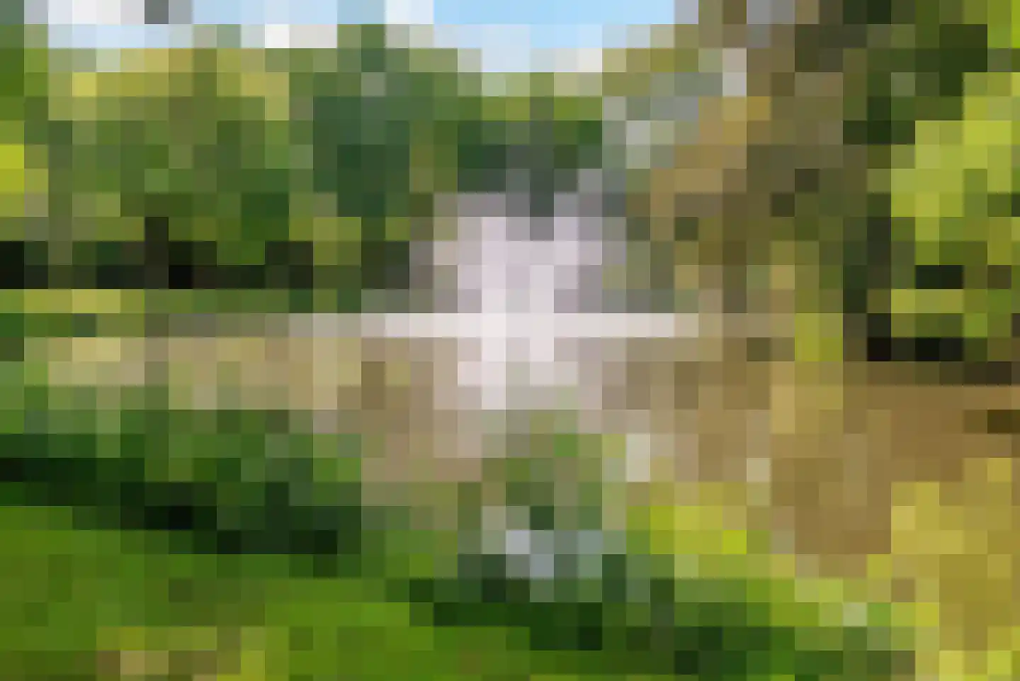 1e Hogeweg 77 3 Zeist thumbnail 22