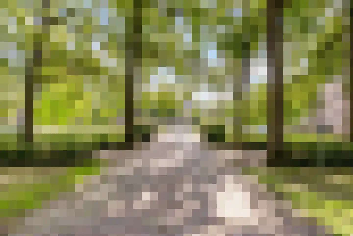 1e Hogeweg 77 3 Zeist thumbnail 24