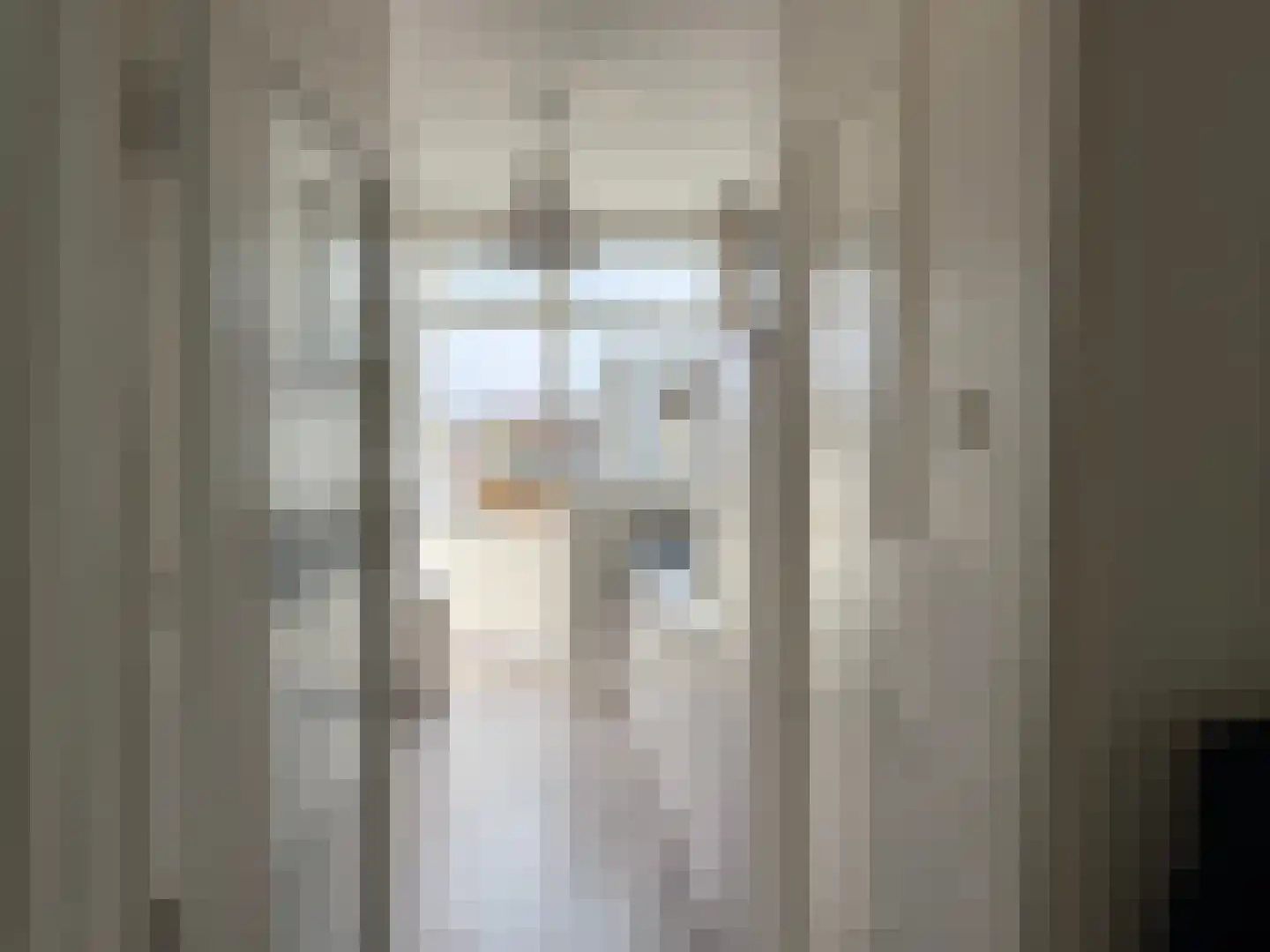 1e Hogeweg 77 3 Zeist thumbnail 5