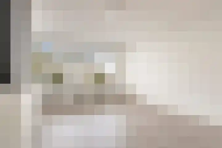 1e Hogeweg 77 A 3 Zeist thumbnail 17