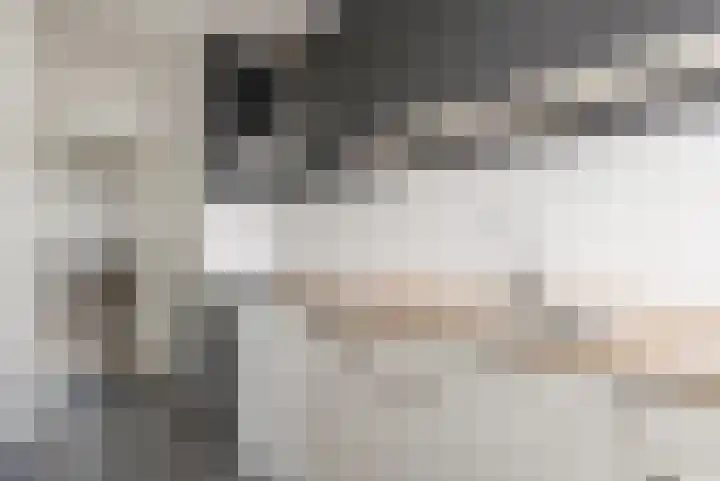 1e Hogeweg 77 A 3 Zeist thumbnail 20