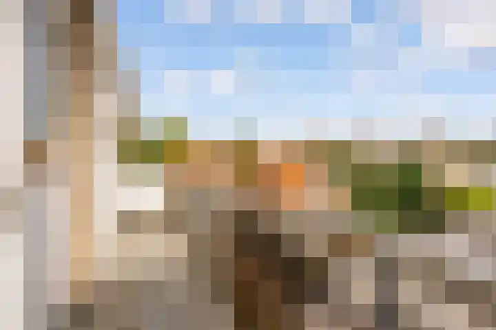 1e Hogeweg 77 A 3 Zeist thumbnail 28