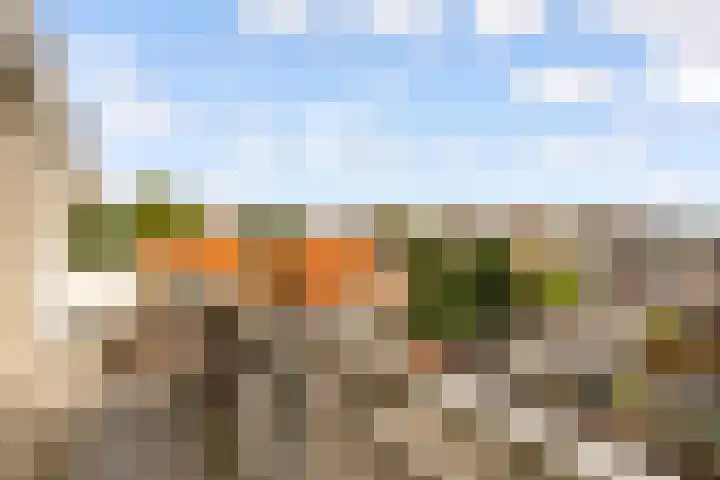 1e Hogeweg 77 A 3 Zeist thumbnail 29