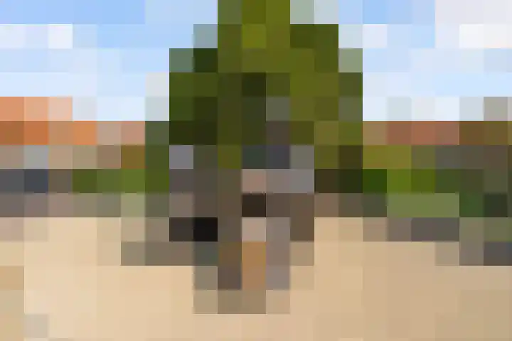 1e Hogeweg 77 A 3 Zeist thumbnail 32