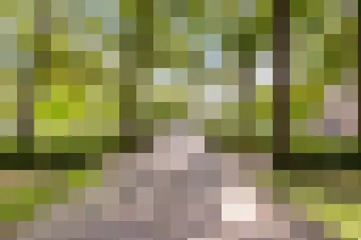 1e Hogeweg 77 A 3 Zeist thumbnail 35