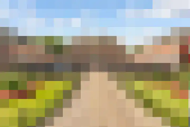 1e Hogeweg 77 A 3 Zeist thumbnail 36