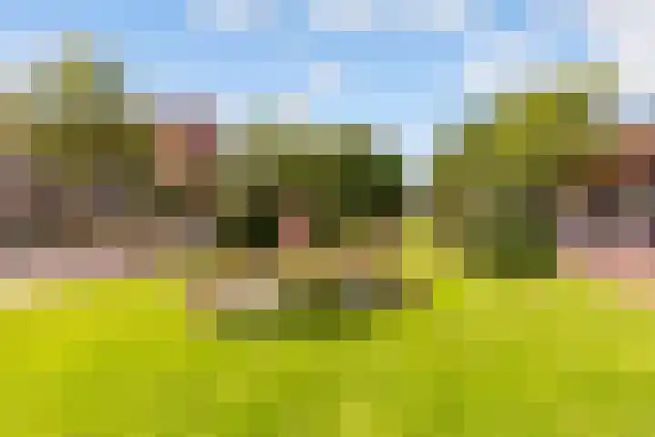 1e Hogeweg 77 A 3 Zeist thumbnail 37