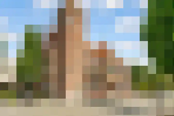 1e Hogeweg 77 A 3 Zeist thumbnail 39