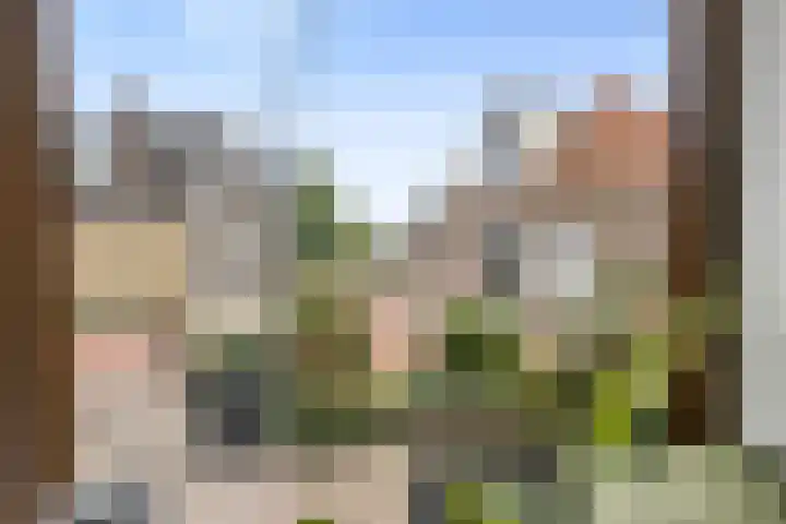 1e Hollandiastraat 12 Bolsward thumbnail 10