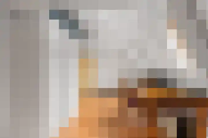 1e Hollandiastraat 12 Bolsward thumbnail 23