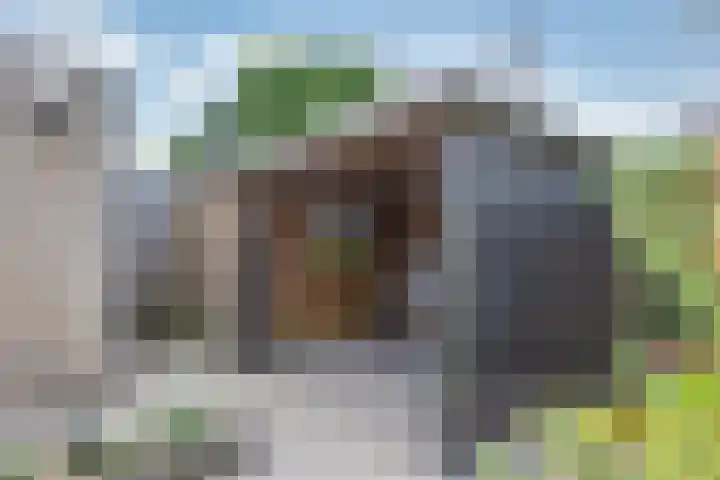 1e Hollandiastraat 12 Bolsward thumbnail 31