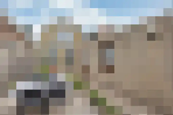 1e Hollandiastraat 12 Bolsward thumbnail 32