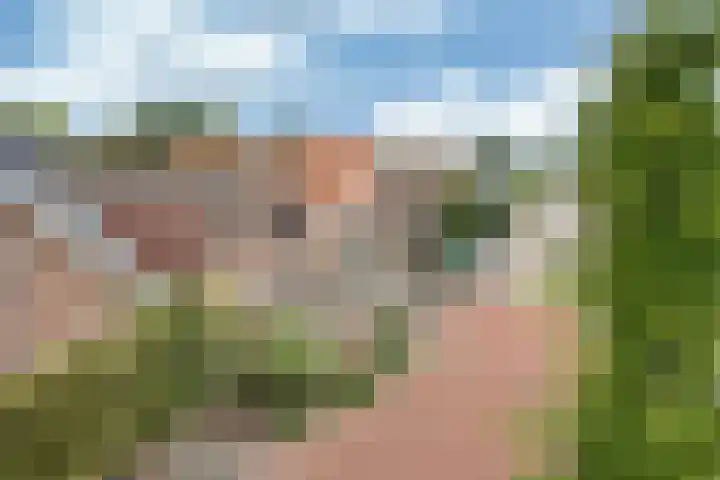 1e Hollandiastraat 12 Bolsward thumbnail 41