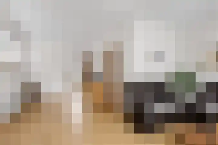 1e Hollandiastraat 12 Bolsward thumbnail 6
