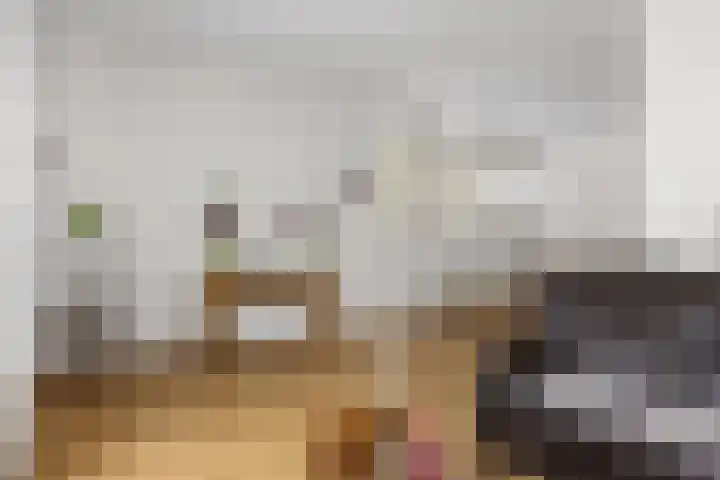 1e Hollandiastraat 12 Bolsward thumbnail 7