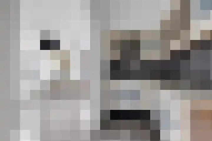1e Hollandiastraat 27 Bolsward thumbnail 10