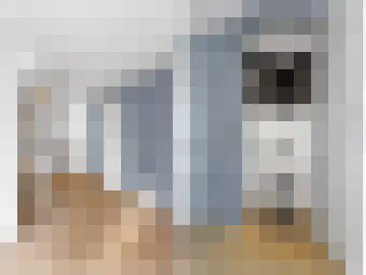 1e Hollandiastraat 27 Bolsward thumbnail 12
