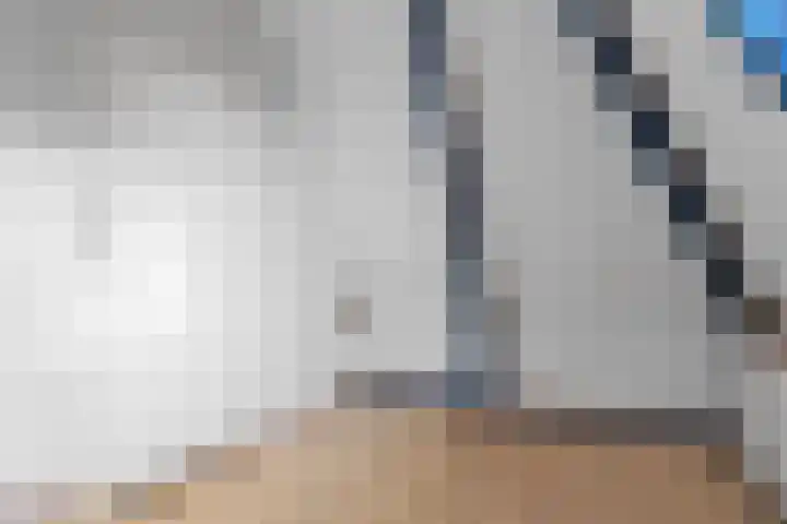 1e Hollandiastraat 27 Bolsward thumbnail 15