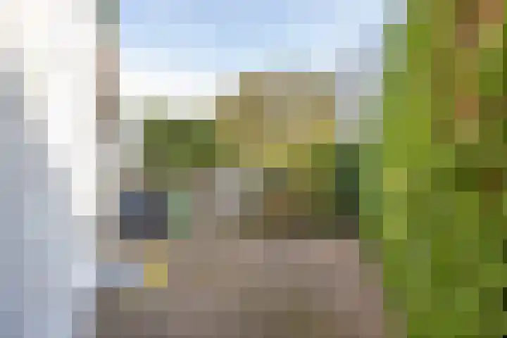 1e Hollandiastraat 27 Bolsward thumbnail 22