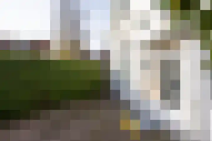 1e Hollandiastraat 27 Bolsward thumbnail 23