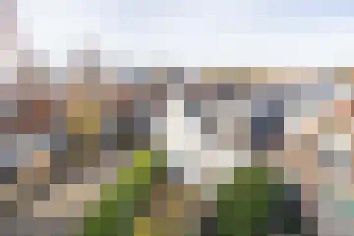 1e Hollandiastraat 27 Bolsward thumbnail 24