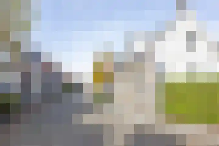 1e Hollandiastraat 27 Bolsward thumbnail 25