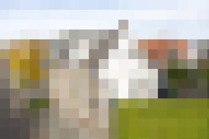 1e Hollandiastraat 27 Bolsward thumbnail 26