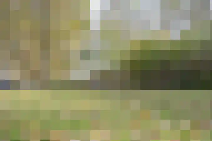 1e Hollandiastraat 27 Bolsward thumbnail 31