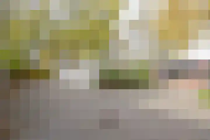 1e Hollandiastraat 27 Bolsward thumbnail 32