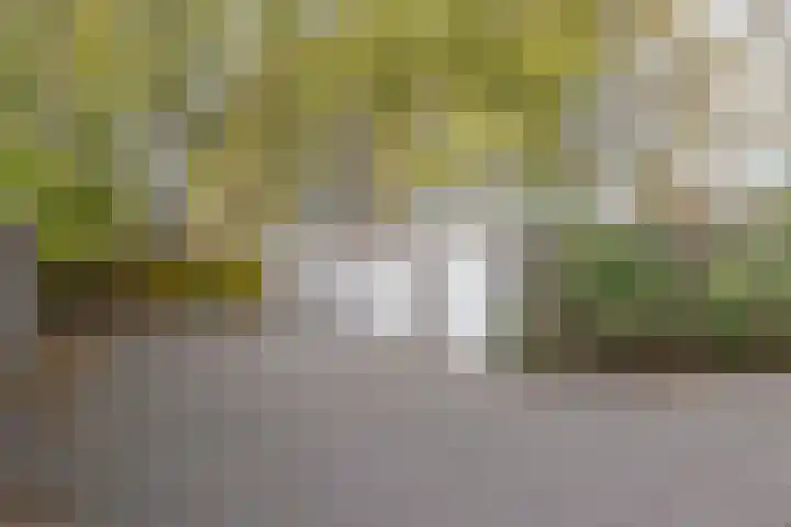 1e Hollandiastraat 27 Bolsward thumbnail 4