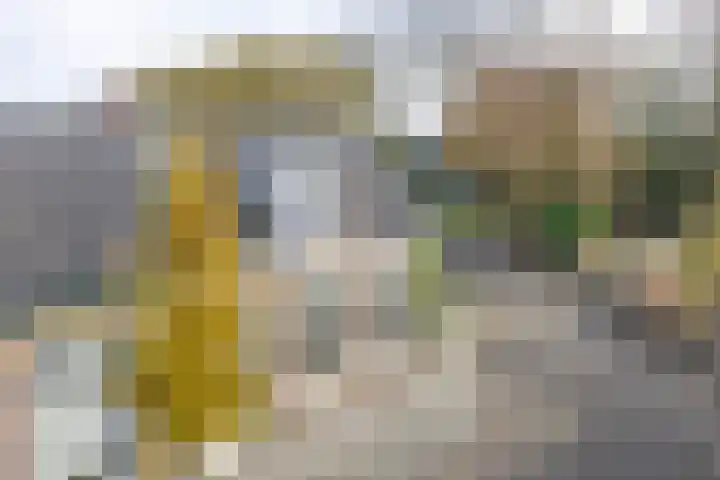 1e Hollandiastraat 27 Bolsward thumbnail 5
