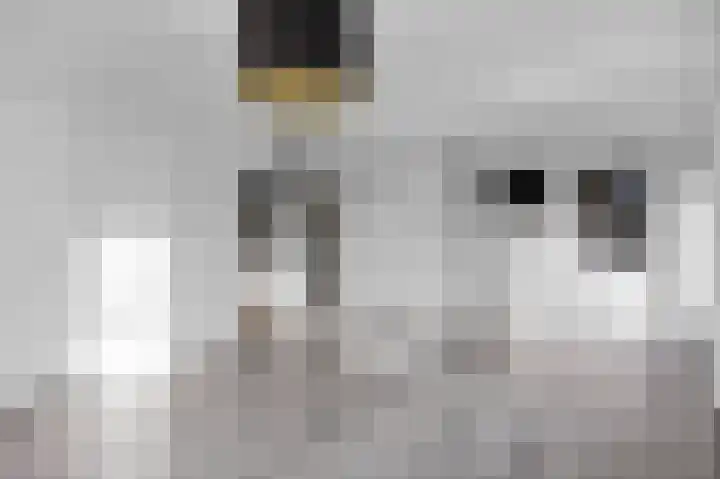1e Hollandiastraat 27 Bolsward thumbnail 6