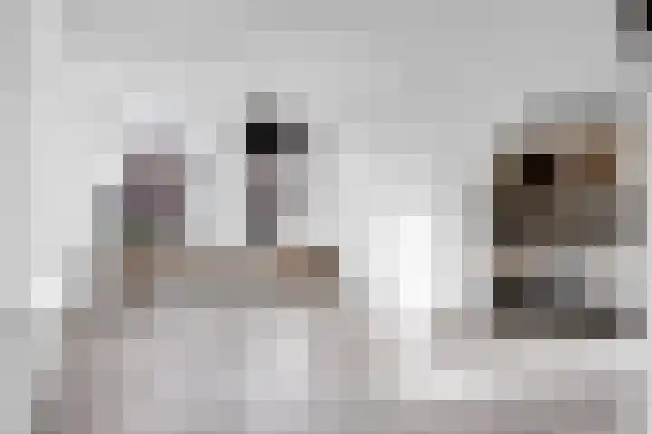 1e Hollandiastraat 27 Bolsward thumbnail 8