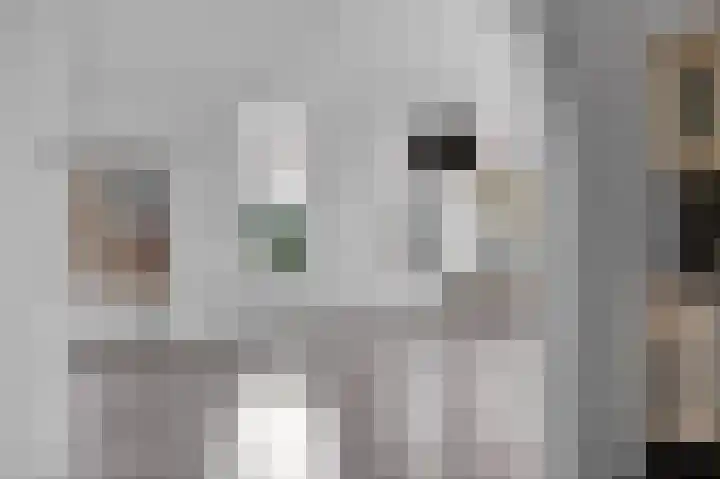 1e Hollandiastraat 27 Bolsward thumbnail 9