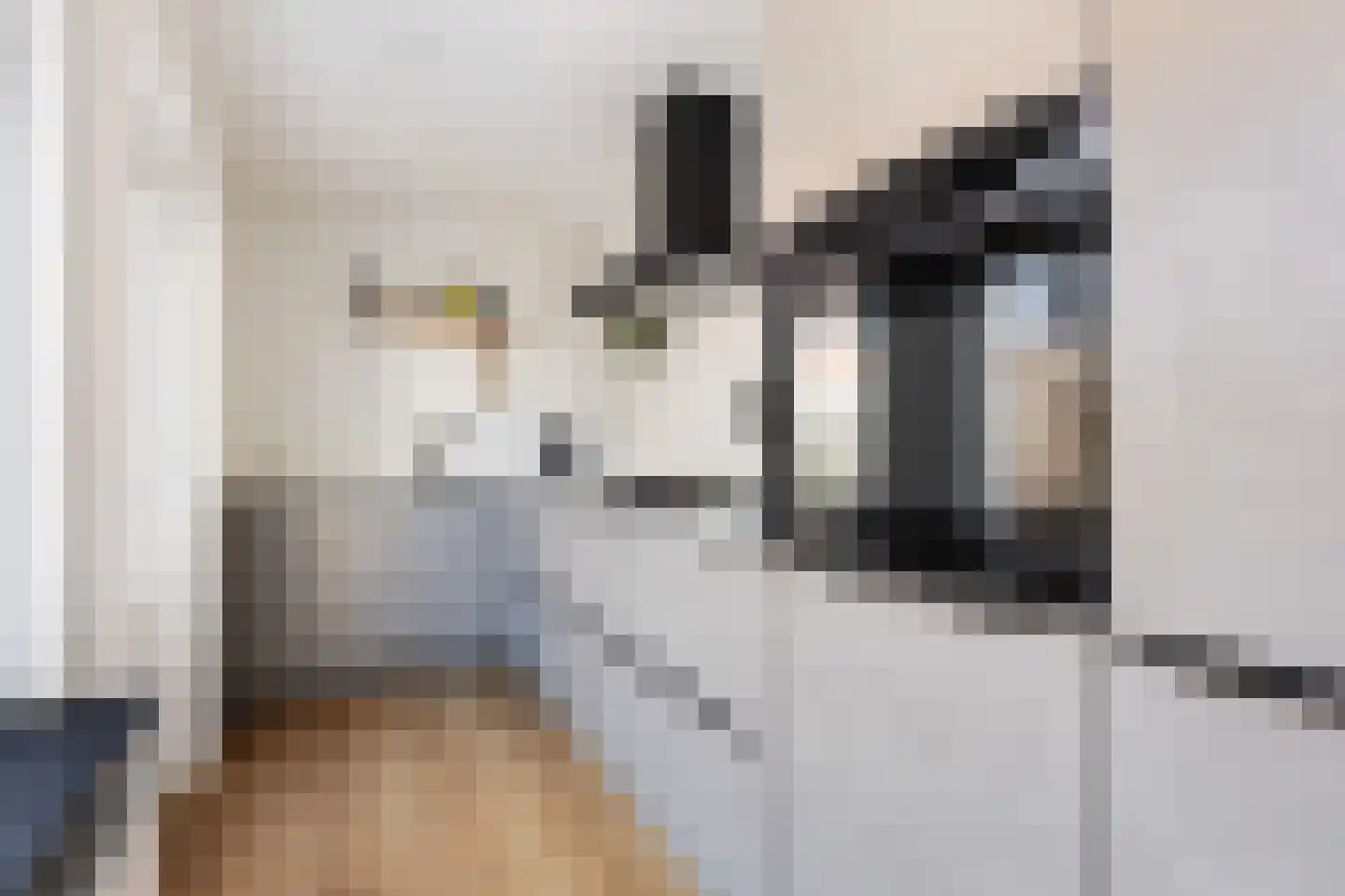 1e Honthorststraat 16 Woerden thumbnail 13