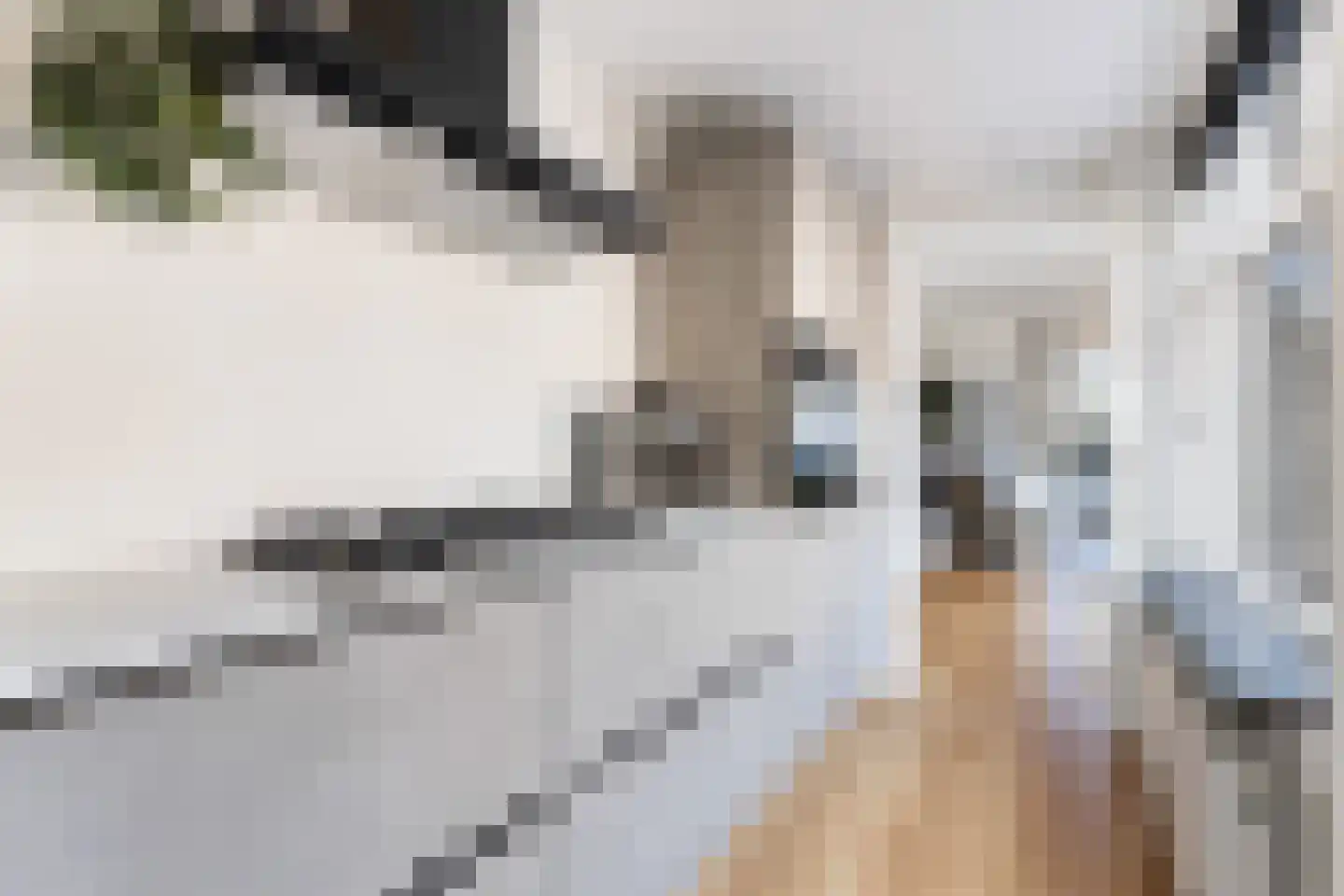 1e Honthorststraat 16 Woerden thumbnail 14