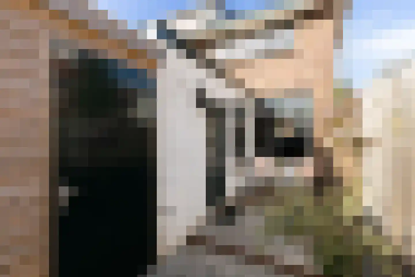 1e Honthorststraat 16 Woerden thumbnail 15