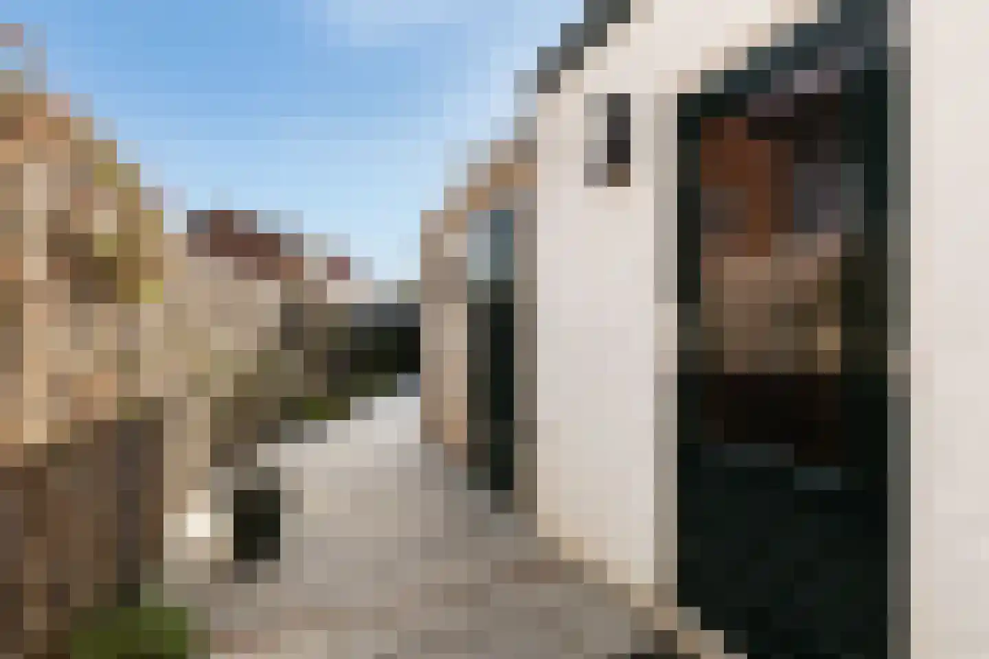 1e Honthorststraat 16 Woerden thumbnail 16
