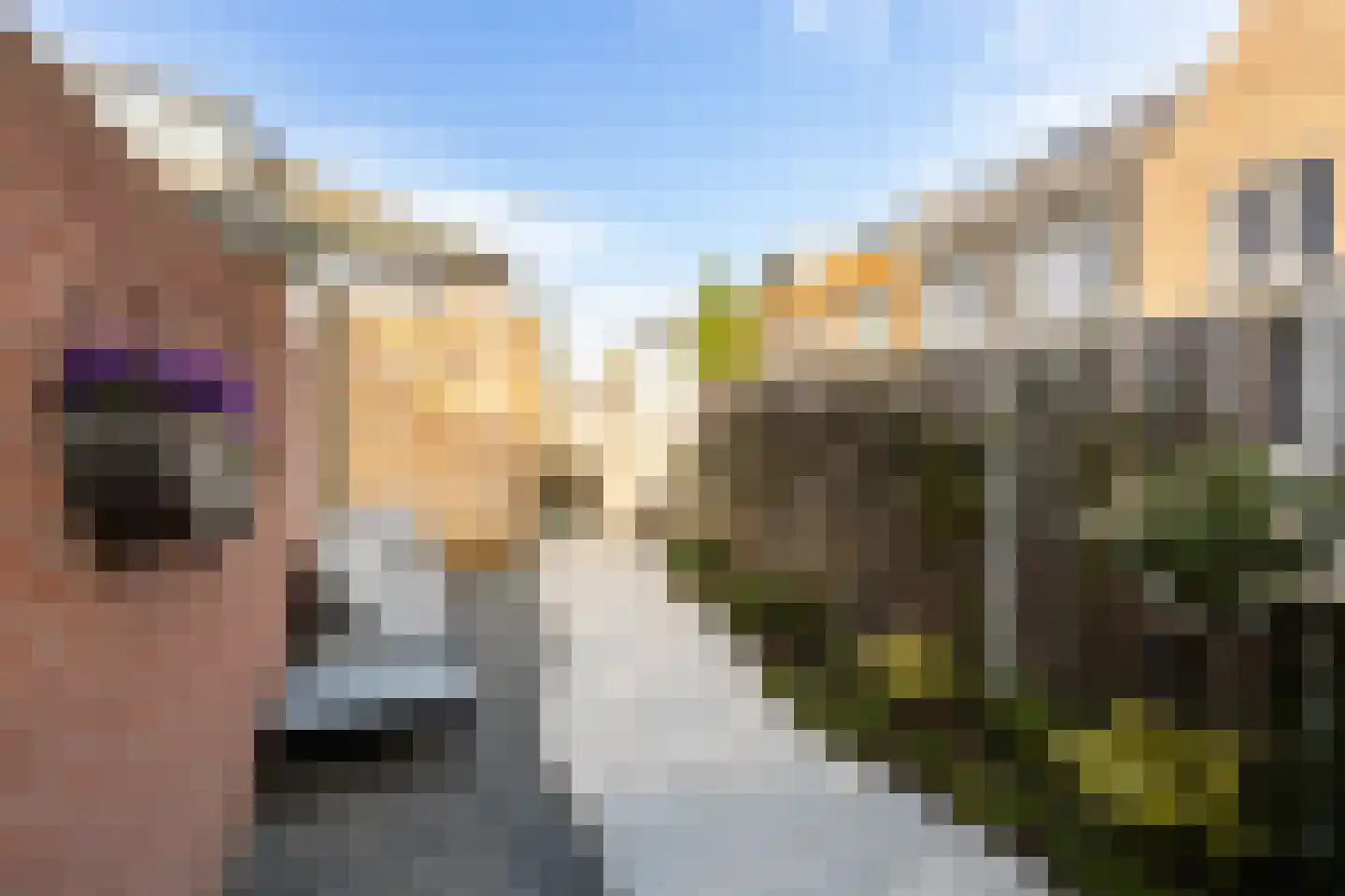 1e Honthorststraat 16 Woerden thumbnail 18